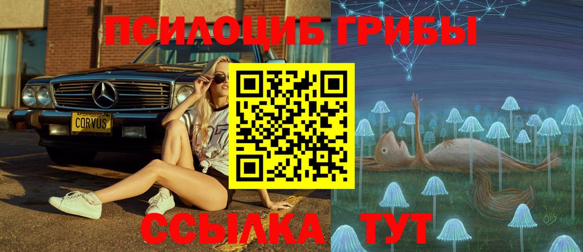 даркнет сайт  Вход с VPN  Мирный  Псилоцибиновые грибы GOLDEN TEACHER  Галлюциногенные грибы Psilocybe 