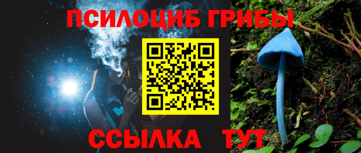 Галлюциногенные грибы Cubensis Мирный